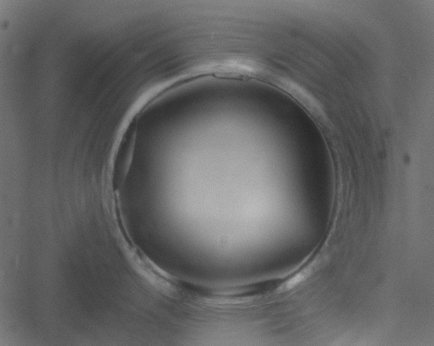 X0000051241200200506241513