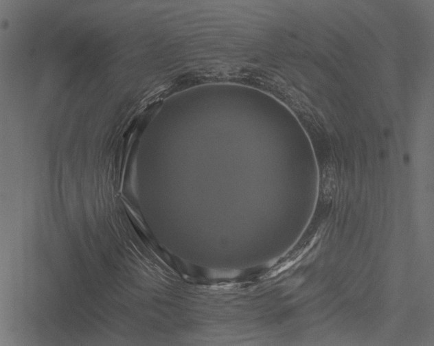 X0000051241202200506241513