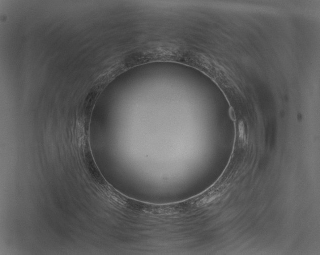 X0000051241203200506241513