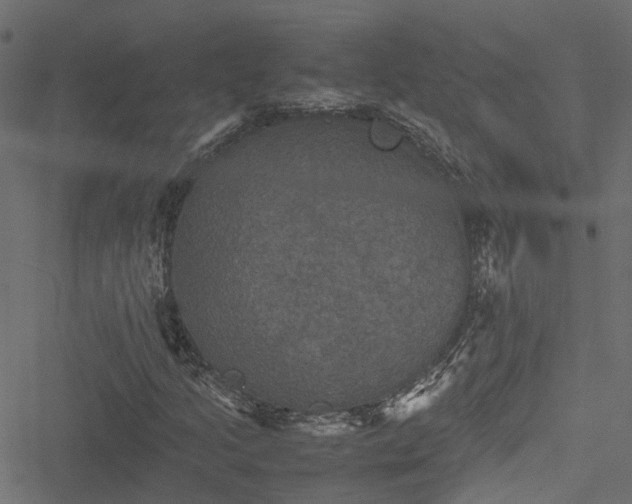 X0000051241205200506241513