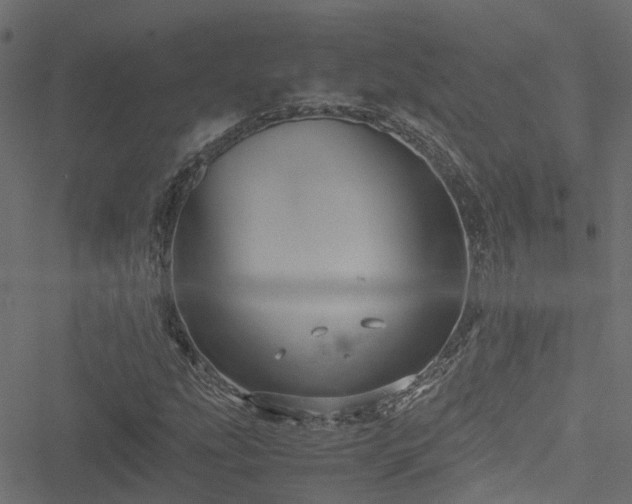 X0000051241207200506241513