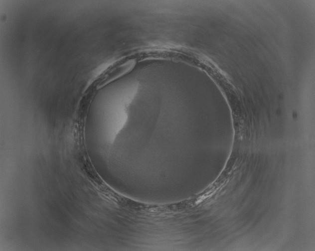 X0000051241208200506241513