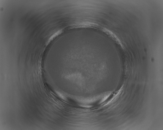 X0000051241210200506241513