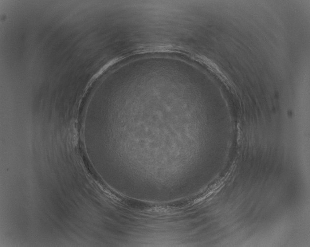 X0000051241212200506241513