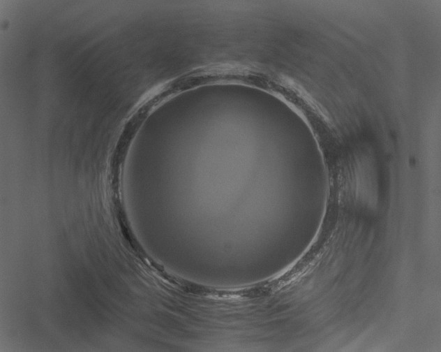 X0000051241213200506241513