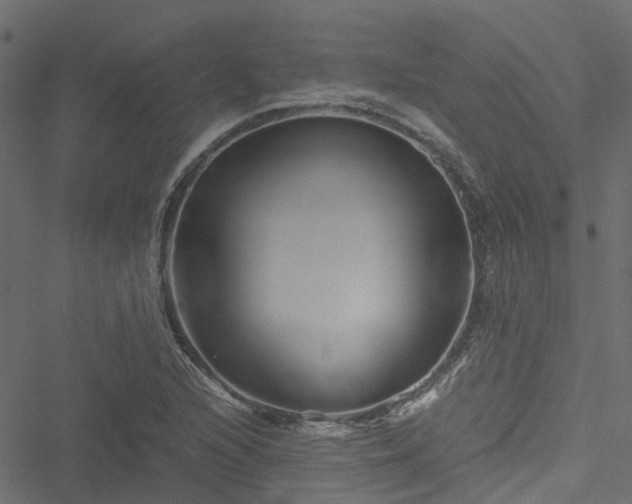 X0000051241216200506241513