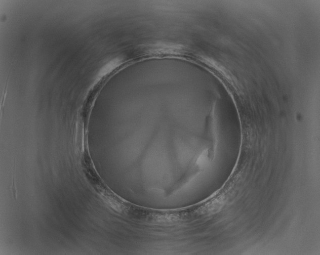 X0000051241219200506241513