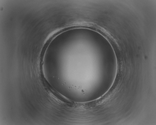 X0000051241222200506241513