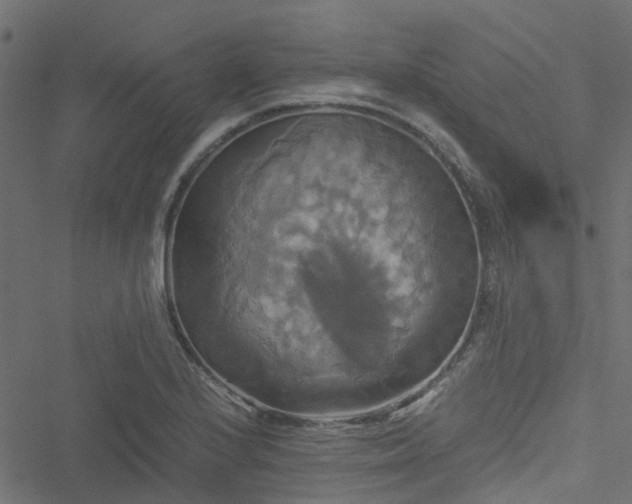 X0000051241224200506241513