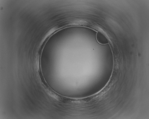 X0000051241227200506241513