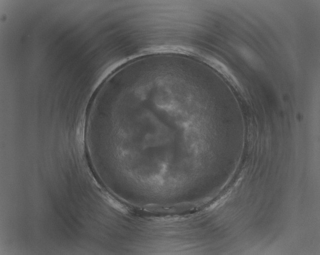 X0000051241228200506241513