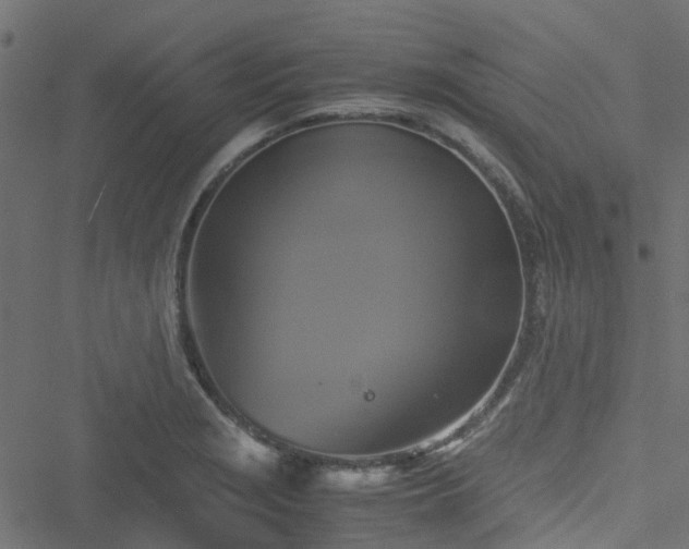 X0000051241229200506241513