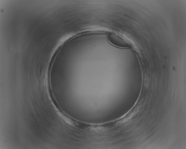 X0000051241231200506241513