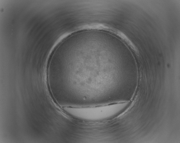 X0000051241232200506241513