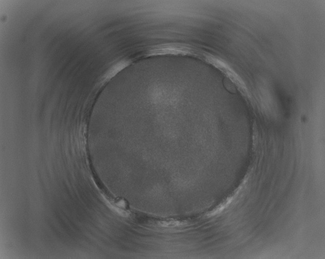 X0000051241233200506241513