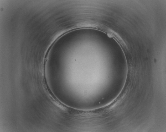 X0000051241236200506241513