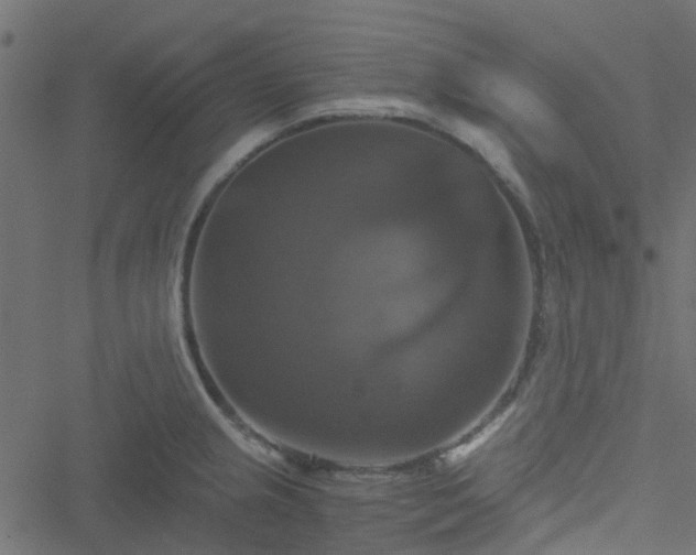 X0000051241237200506241513