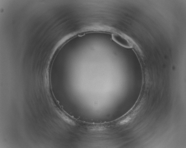 X0000051241238200506241513