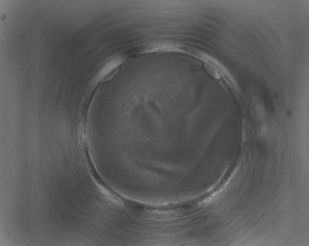 X0000051241241200506241513