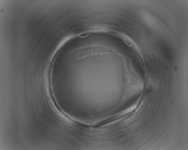 X0000051241243200506241513