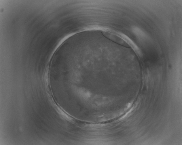 X0000051241244200506241513