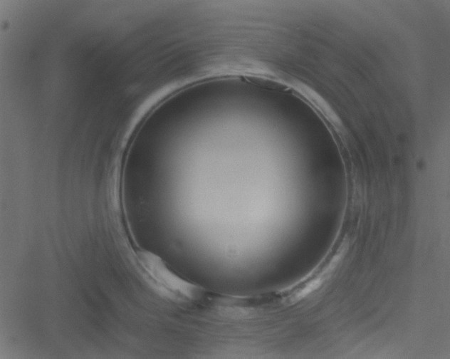 X0000051241246200506241513