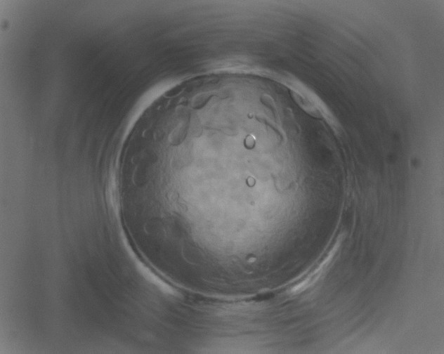 X0000051241247200506241513