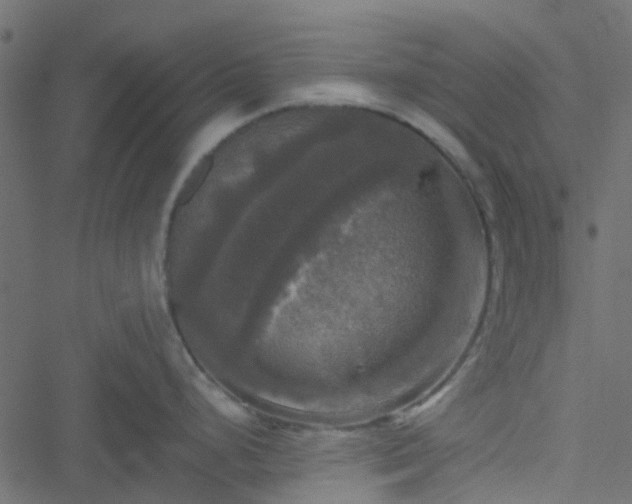 X0000051241248200506241513