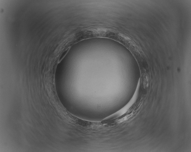 X0000051241249200506241512