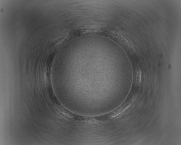 X0000051241250200506241512