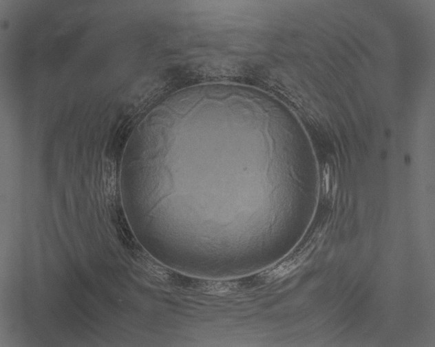 X0000051241251200506241512