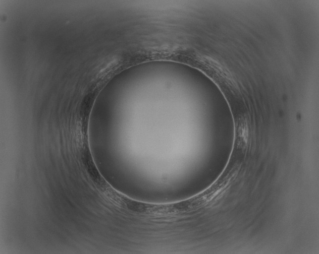 X0000051241252200506241512