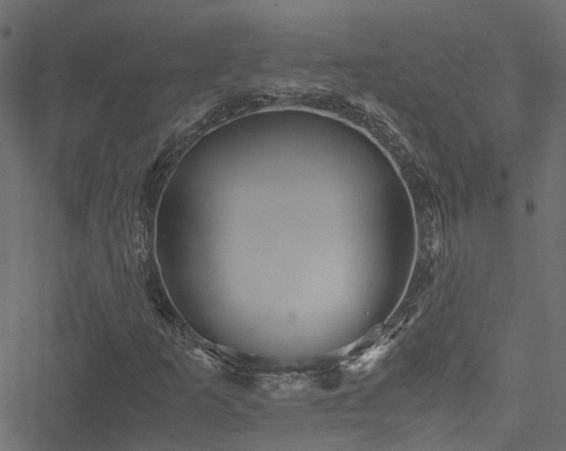 X0000051241253200506241512