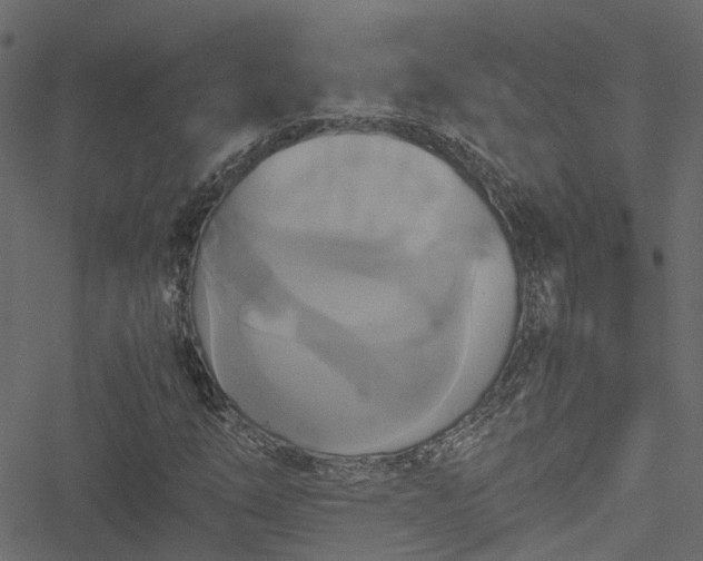 X0000051241254200506241512