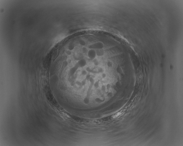 X0000051241255200506241512