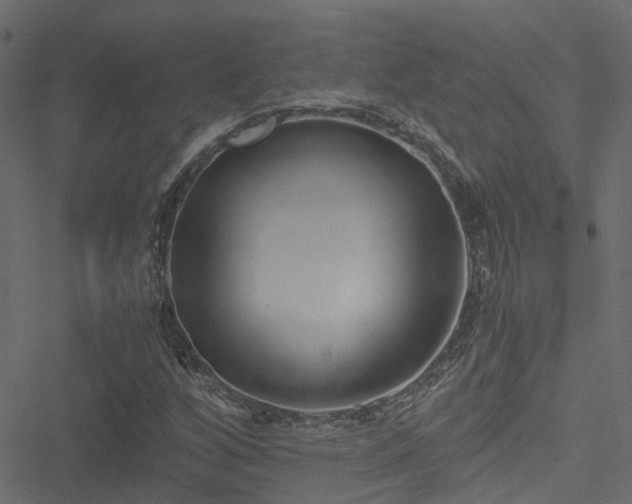 X0000051241256200506241512