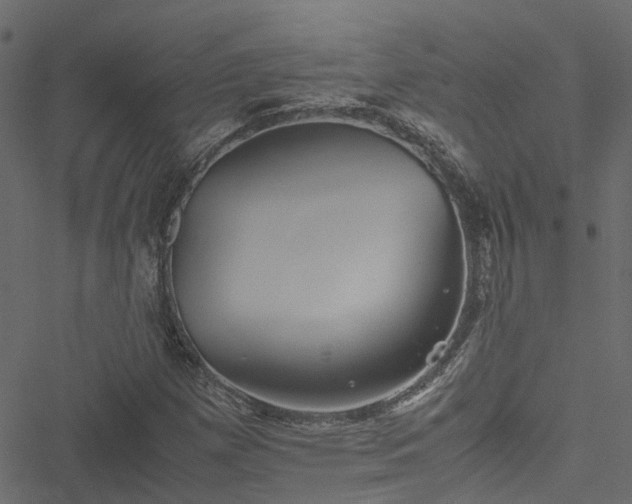 X0000051241257200506241512