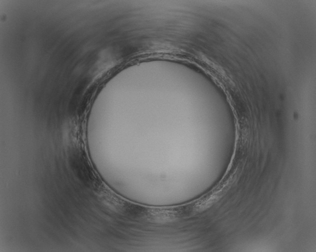 X0000051241258200506241512