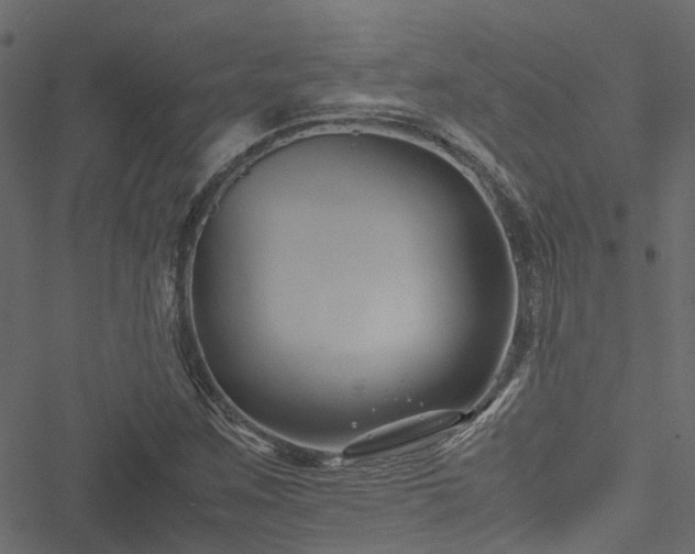 X0000051241259200506241512