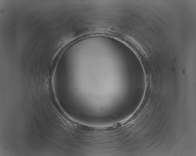 X0000051241260200506241512