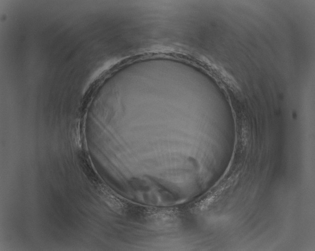 X0000051241262200506241512