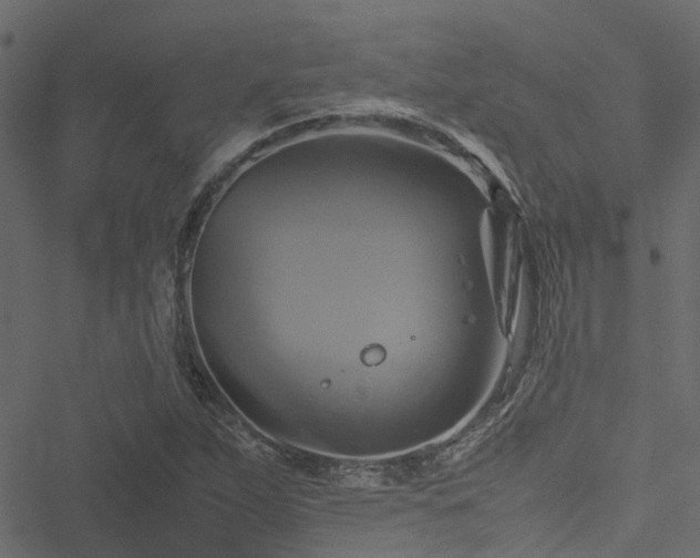 X0000051241263200506241512