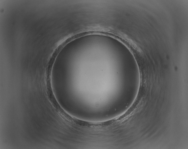 X0000051241264200506241512