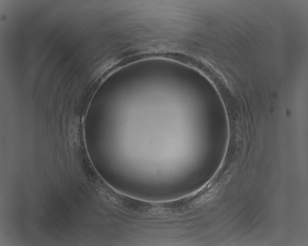 X0000051241265200506241512