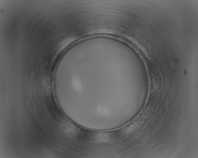 X0000051241266200506241512