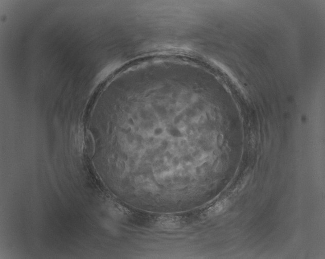 X0000051241267200506241512