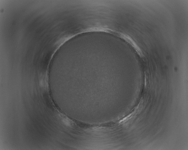 X0000051241268200506241512