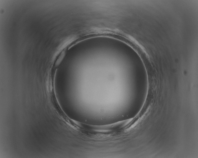 X0000051241269200506241512