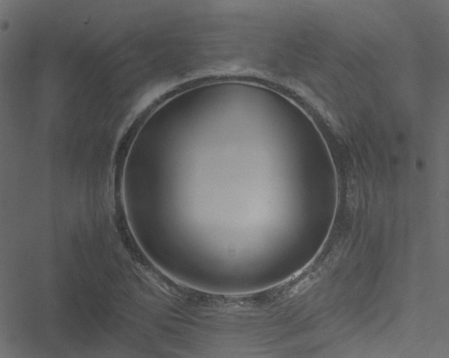 X0000051241270200506241512