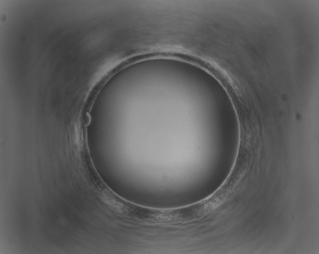 X0000051241271200506241512